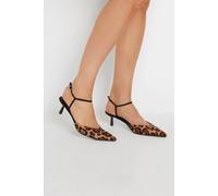 Long Tall Sally Leopard Print Kitten Heels In Brown Brown 9