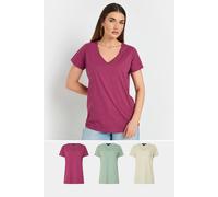 Long Tall Sally - LTS Tall 3 Pack Sage & Berry Red V-Neck T-Shirts - Women's