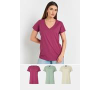 Long Tall Sally - LTS Tall 3 Pack Sage & Berry Red V-Neck T-Shirts - Women's
