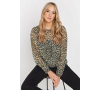 Long Tall Sally - LTS Tall Natural Sheer Leopard Print Blouse - Women's Brown