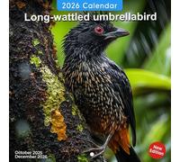 Long-Wattled Umbrellabird Calendar 2026: Rare jungle birds with striking features
