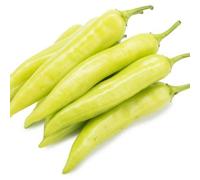 Long White Chillies 1Kg, Bajji Chilli, Bhajji Milagai, Fresh Mild Cooking Pepper, Ideal for Stuffed Bajji Fry Pakora South Indian Snacks