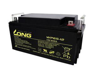 Long WP65-12 12V 65Ah VRLA Battery M6 Connector Maintenance-Free