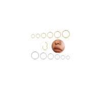 Longbeauty Nose Piercing Hoops 16G 18G 20G Nose Ring Nostril Septum Piercing Rings Set Septum Clicker Cartilage Piercing Ear for Men and Women 6 mm/7 mm/8 mm/9 mm/10 mm/12 mm, 16G (1.2MM)
