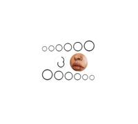 Longbeauty Nose Piercing Hoops 16G 18G 20G Nose Ring Nostril Septum Piercing Rings Set Septum Clicker Cartilage Piercing Ear for Men and Women 6 mm/7 mm/8 mm/9 mm/10 mm/12 mm, 16G (1.2MM)