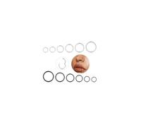 Longbeauty Nose Piercing Hoops 16G 18G 20G Nose Ring Nostril Septum Piercing Rings Set Septum Clicker Cartilage Piercing Ear for Men and Women 6 mm/7 mm/8 mm/9 mm/10 mm/12 mm, 20G (0.8MM)