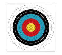 LONGBOWMAKER 60 * 60cm Archery Targets 20pcs Backyard Clear Targets Face Standard Targets Paper for Outdoor Archery Sport & Shooting