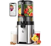 LONGCAO Cold-Press Juicer Machine 165mm Large Feed Chute 600W DC Motor Slow Masticating Juicer with Pre-Cut Blade 2 Strainers for Juice Nut Milk and Sorbet High Juice Y, Silver, 165MM Feed Chute