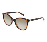 LONGCHAMP Women's LO688S Sunglasses, HAVANA, 54