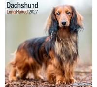 Longhaired Dachshund 2027 Calendar | Square Wall Calendar | Dog Breed Gift | Plastic Free Packaging | by Avonside Publishing