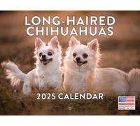 Longhaired Long Haired Chihuahua 2025 Calendar Dog | American Made In The USA