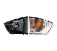 LONGLING Replacement Driver Right Side O/S Wing Mirror Indicator Blinker Turn Signal Light Lamp for Iveco Daily 2006-2014