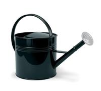 LONGRUN 10L Galvanised Metal Watering Can with Removable Rose, Dark Green | Weather-resistant and heavy-duty, perfect for hydrating delicate seedlings, floral borders, and nursery planters