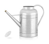 LONGRUN 9L French Watering Can with Rose Sprinkler, Made of Galvanized Iron