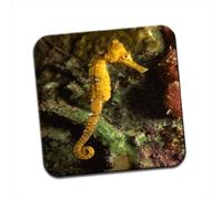 Longsnout Yellow Seahorse Underwater in Sea Single Coaster