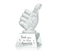 LONGWIN Employee Appreciation Gifts Crystal Awards with Thumbs Up, Thank You for Being Awesome Gifts for Staff, Coworkers Teacher Christmas Birthday