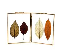 LONGWIN Gold Double 6x8 Folding Floating Picture Frames Vintage Square Brass Double Sided Glass Press Flowers Artwork Certificate Frames Plants Specimen Clip