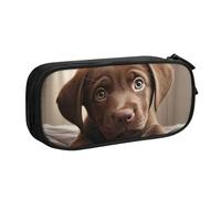 LONGZEHAO Big Capacity cute Labrador Dog 1 Print Pencil Case,Double layer zipper Pencil box Makeup Pouch Organizer