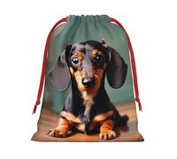 Longzehao Cute Dachshund Duggee Print Drawstring Gift Bags For Christmas,Holiday Gift Wrapping Bag Assorted Sizes