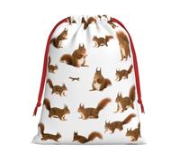 Longzehao Cute Squirrel Print Drawstring Gift Bags For Christmas,Holiday Gift Wrapping Bag Assorted Sizes