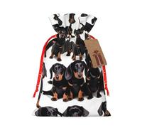 Longzehao Dachshund Weiner Pet Dog Print Christmas Drawstring Gift Bags,Gift Wrapping Bag for Xmas Holiday Birthday Party