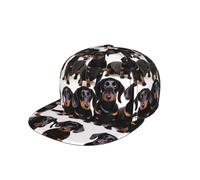 Longzehao Dachshund Weiner Pet Dog Print Snapback Hat for Men Women,Hip Hop Style Adjustable Baseball Cap Black