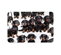 Longzehao Dachshund Weiner Pet Dog Print Ultra Absorbent Grippy Doormat,Front Welcome Doormat for Outdoor Indoor,16 x 24 in