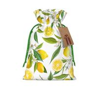 Longzehao Fresh Tropical Lemons Print Christmas Drawstring Gift Bags,Gift Wrapping Bag for Xmas Holiday Birthday Party