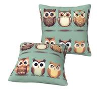 Longzehao Set of 2 Cartoon Owls Cute Print Decor Throw Pillow Covers Square Sofa Cushion Cases for Couch Bed Car.