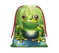 Longzehao Ultra soft velvet fabric Cartoon frog 1 Print Christmas drawstring present Bag,Multipurpose gifts bags