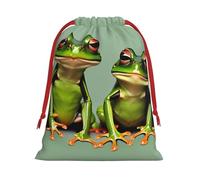 Longzehao Ultra soft velvet fabric drawstring Funny Green Frogs 1 Print Christmas Present Bag,Multipurpose gifts bags.