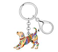 LONYOO Acrylic Labrador Retriever Gifts Boho Labrador Dog Keychain Accessories Bag Charms Pet Dog Lover Gifts for Women Girls (Beige)