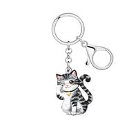LONYOO Acrylic Tabby Cat Keychain Accessories Kitten Key Chain Cat Lover Gifts for Women,Cute Valentines Day Gifts for Her (Grey)