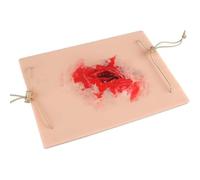 Lood Control Tourniquet Trainer, Bleed Control Suturing Exercises With Wearable Adjustable Design, Improve Skills Quickly, Stop The Bleed First Aid Training for Medical Classes