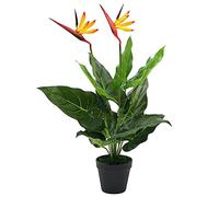 LoogCape Artificial Bird of Paradise Flower 66 cm with 12 Leaves and 2 Flowers, Realistic Artificial Plant for Office, Living Room, Balcony, Garden, Wall Decoration, Table Decoration, Care-Free