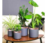 LoogCape Copper Snail Protection Tape 6 Pack 30mm Wide 20m Long Weatherproof Durable Versatile for Garden, Lawn, Greenhouse, Houseplants, Fruit Trees, Ornamental Plants