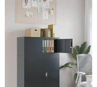 LoogCape Filing Cabinet Anthracite 90 x 40 x 40 cm Powder-Coated Steel with Lockable Double Door for Office, Home Office, Archive, Documents, Organising, Robust and Versatile