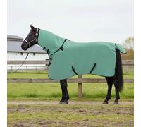LoogCape Horse Blanket Special Green 115 cm Polyester Breathable Waterproof Windproof Stable Outdoor Protection for Pony Foals with Belly Guard and Cross Strap Ideal for Transition and Winter