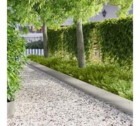 LoogCape Lawn Edging Pack of 10 103 x 25 cm Steel Silver Garden Border Flexible Plug-In Systems Weatherproof Rustproof for Flower Beds, Laws, Paths, Flower Bed Border, Path Limiting, Root Barrier