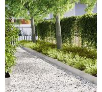 LoogCape Lawn Edging Pack of 10 Silver Stainless Steel 100 x 0.05 x 20 cm Garden Bed Edging Flexible Plug-In Systems Weatherproof Durable Lawn Edging for Paths and Beds