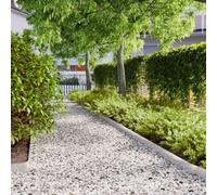 LoogCape Lawn Edging Pack of 10 Stainless Steel 10 x 103 cm Flower Bed Edging Path Boundary Flexible Garden Border Durable Plug-In System for Beds and Lawns Weatherproof Rustproof Robust