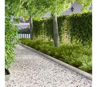 LoogCape Lawn Edging Pack of 20, 102 x 10 x 4 cm, Steel, Silver, Weatherproof, Flexible Plug-In Systems, Robust Garden Border for Beds, Laws, Borders, Root Barrier, Easy Assembly