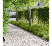 LoogCape Lawn Edging Pack of 20 102 x 4 cm Steel Silver Weatherproof Flexible Plug-In Systems for Beds and Lawns Garden Edging Robust and Malleable for a Wide Range of Outdoor Applications