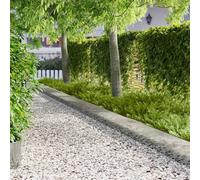 LoogCape Lawn Edging Pack of 20 103 x 30 cm Steel Silver Weatherproof Flower Bed Edging Flexible and Malleable Lawn Edging for Garden and Driveway, Easy Assembly, Durable Plug-In System