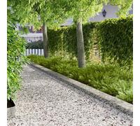 LoogCape Lawn Edging Pack of 30, 103 x 20 cm, Steel, Silver, Weatherproof, Flexible, Malleable for Gardens, Beds, Lawn Paths and Borders, Robust and Rustproof for Durable Outdoor Use