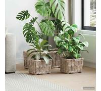 LoogCape Plant Basket Set with Storage Space Made of Kubu Rattan, 3 Pieces, Natural Grey for Indoor and Outdoor Decoration, Durable Design, Includes Waterproof Lining, Ideal for Plants