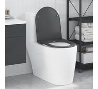 LoogCape Toilet Seat Anthracite 47 x 36 x 3.4 cm Duroplast Soft Close Removable Stable Easy Care Universal Bathroom Guest Toilet Durable Modern Design Easy Assembly