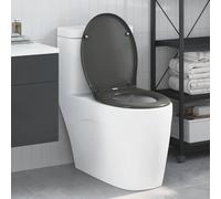 LoogCape Toilet Seat Anthracite 47 x 37 x 4 cm Duroplast with Soft Close Mechanism, Removable, Stable, Easy to Clean, for Bathroom, Universal, Suitable for Toilet, Toilet Seat, Lid