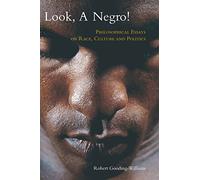 Look, a Negro!: Philosophical Essays on Race, Culture and Politics