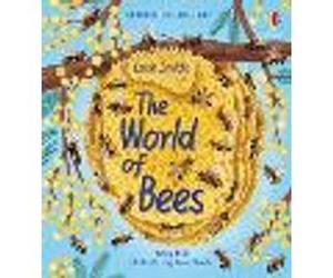 Look Inside the World of Bees
